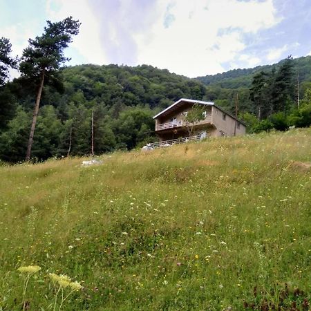 Guesthouse Gama In Khevsureti Roshka Dış mekan fotoğraf