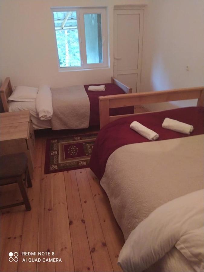 Guesthouse Gama In Khevsureti Roshka Dış mekan fotoğraf