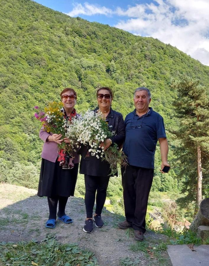 Guesthouse Gama In Khevsureti Roshka Dış mekan fotoğraf