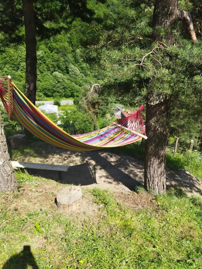 Guesthouse Gama In Khevsureti Roshka Dış mekan fotoğraf