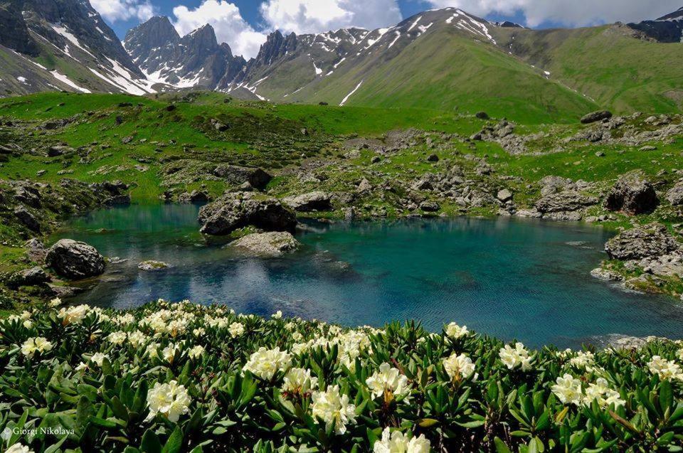 Guesthouse Gama In Khevsureti Roshka Dış mekan fotoğraf