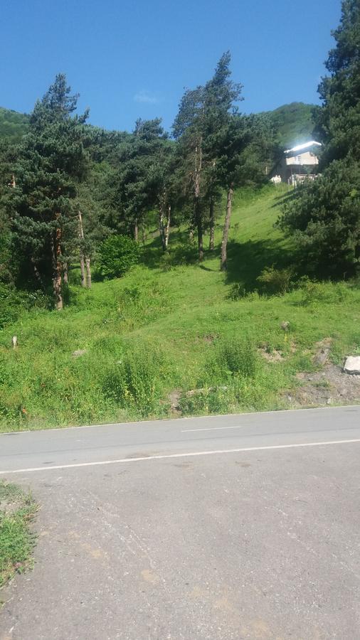 Guesthouse Gama In Khevsureti Roshka Dış mekan fotoğraf