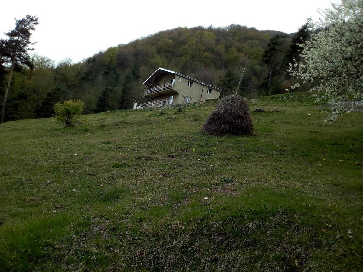 Guesthouse Gama In Khevsureti Roshka Dış mekan fotoğraf