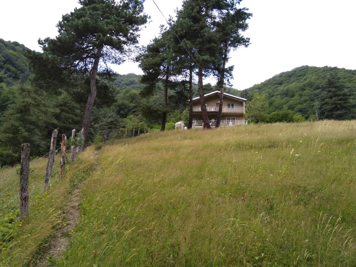 Guesthouse Gama In Khevsureti Roshka Dış mekan fotoğraf