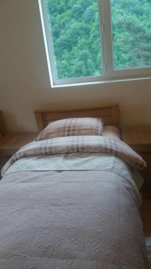 Guesthouse Gama In Khevsureti Roshka Dış mekan fotoğraf